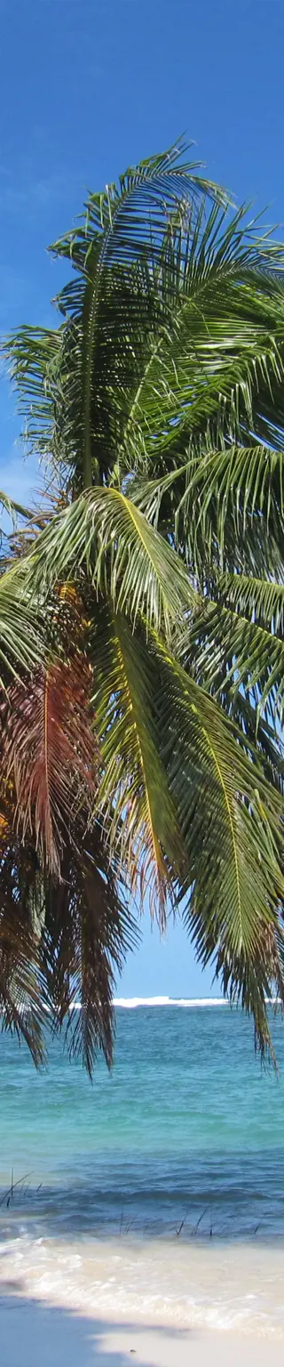Inselleben in Bocas del Toro
